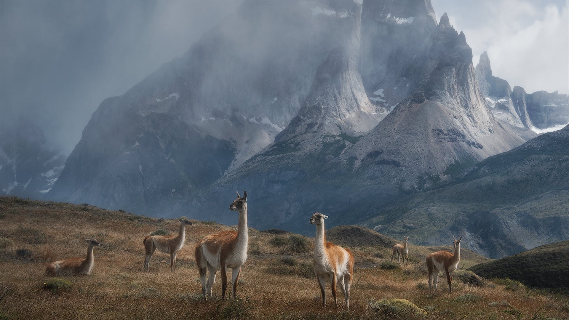 爱游戏平台-摩纳哥防线表现提升，摩纳哥官方