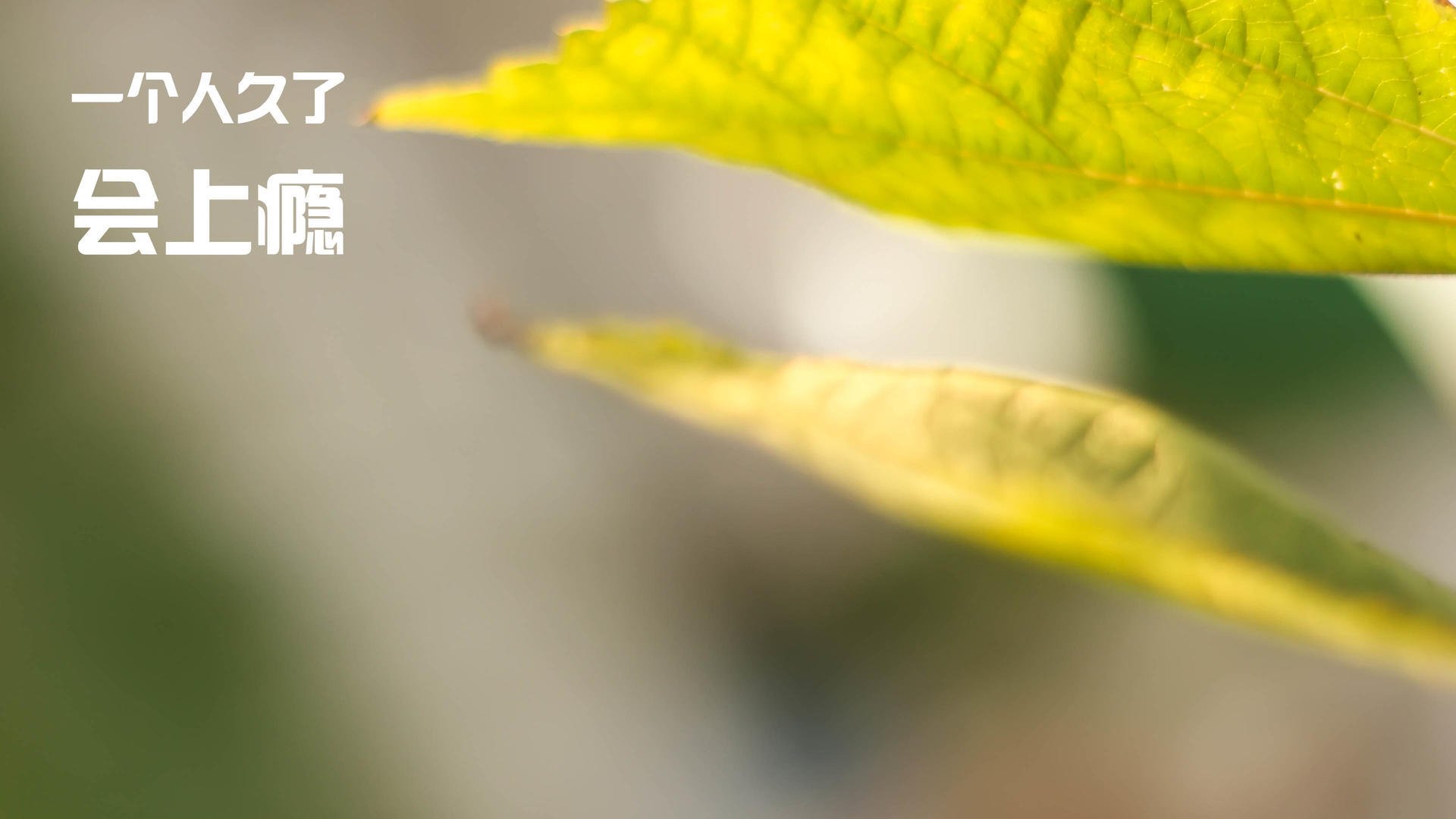 爱游戏电竞-欧洲球队一触即发的对决，谁将捧起冠军奖杯？，欧洲联赛夺冠最多的球队