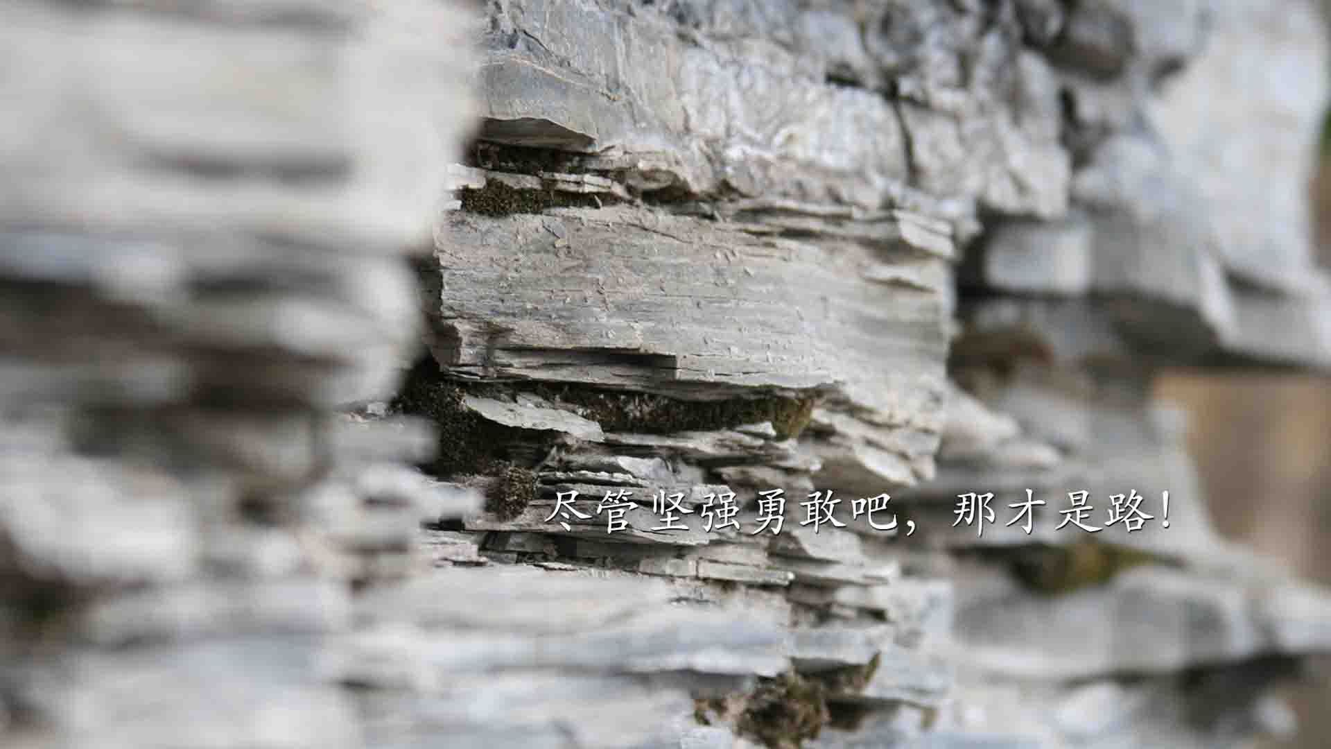 葡萄牙女足在预选赛中未能晋级巴黎奥运会，葡萄牙女足在预选赛中未能晋级巴黎奥运会吗