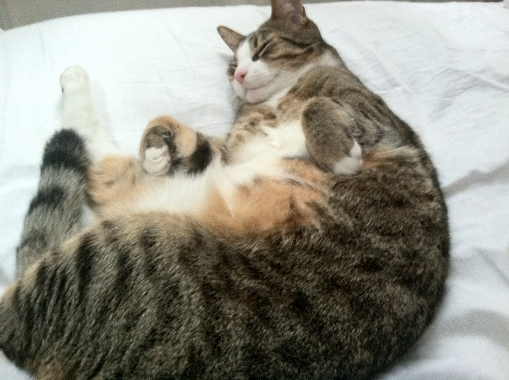 阿根廷女足遭遇淘汰,小组赛止步,阿根廷女足遭遇淘汰,小组赛止步了吗