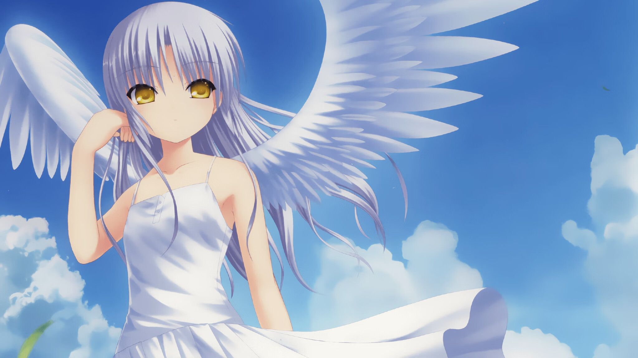 中国篮球职业联赛赛事运营风险评估与管理对策,篮球赛事安全风险