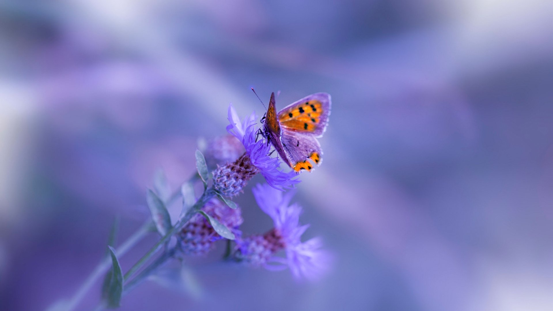 法甲球队通过大数据优化边路突破战术,法甲联赛盘路点评