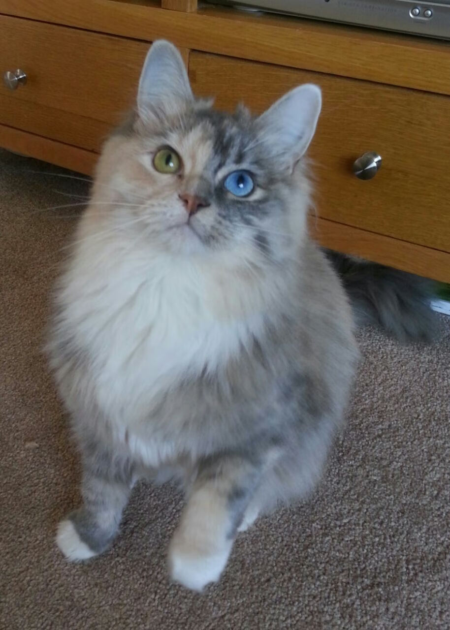 法甲球队通过大数据优化边路突破战术,法甲联赛盘路点评