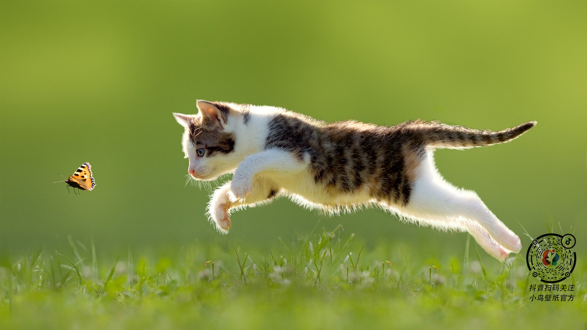 篮球专项技能教学创新实践及效果评估,篮球教学实施报告 教学能力比赛