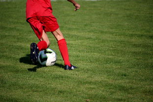 爱游戏-篮球运动员心理健康服务体系研究，篮球运动员心理健康服务体系研究论文