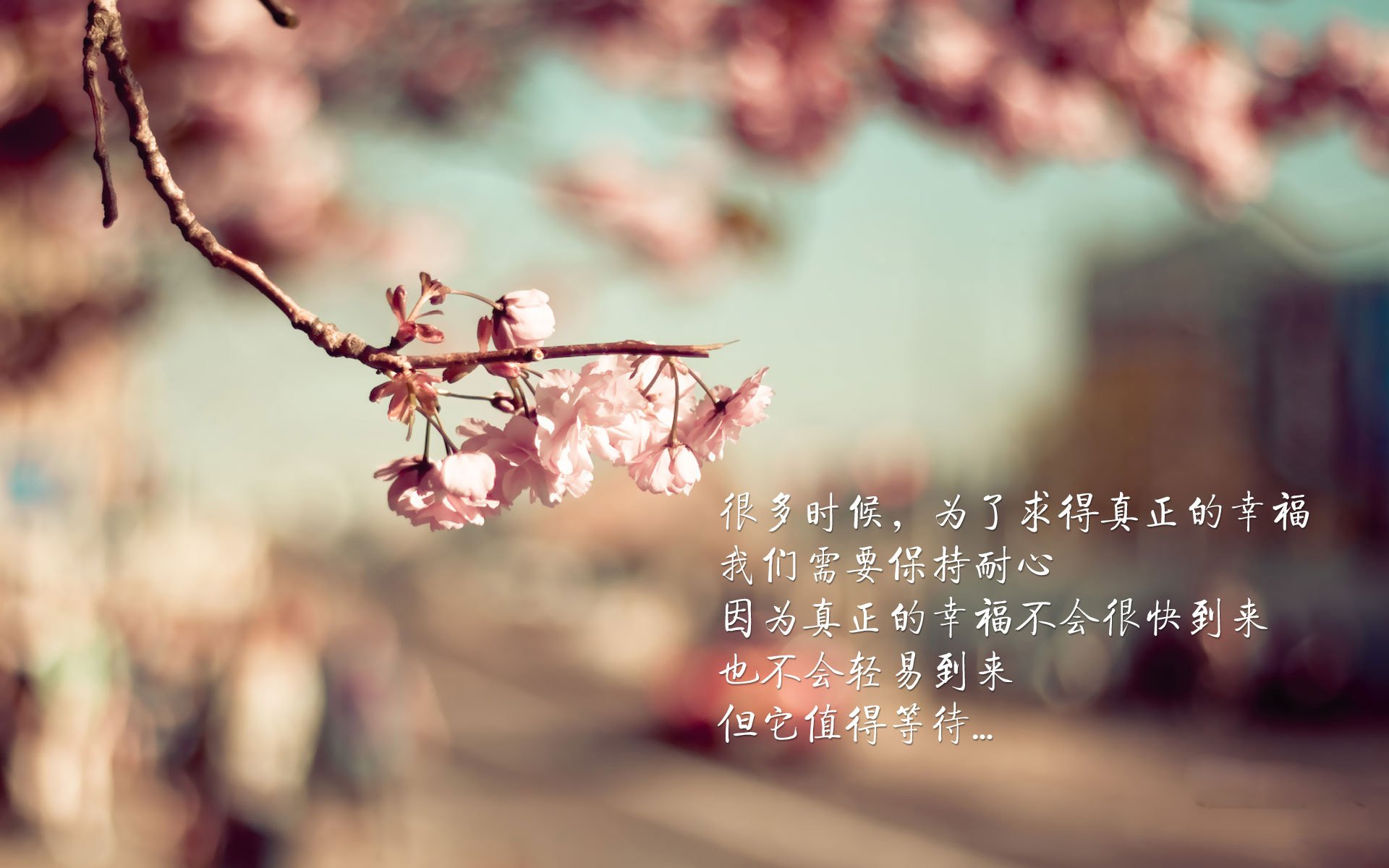 篮球运动员心理健康服务体系研究,篮球运动员心理健康服务体系研究论文