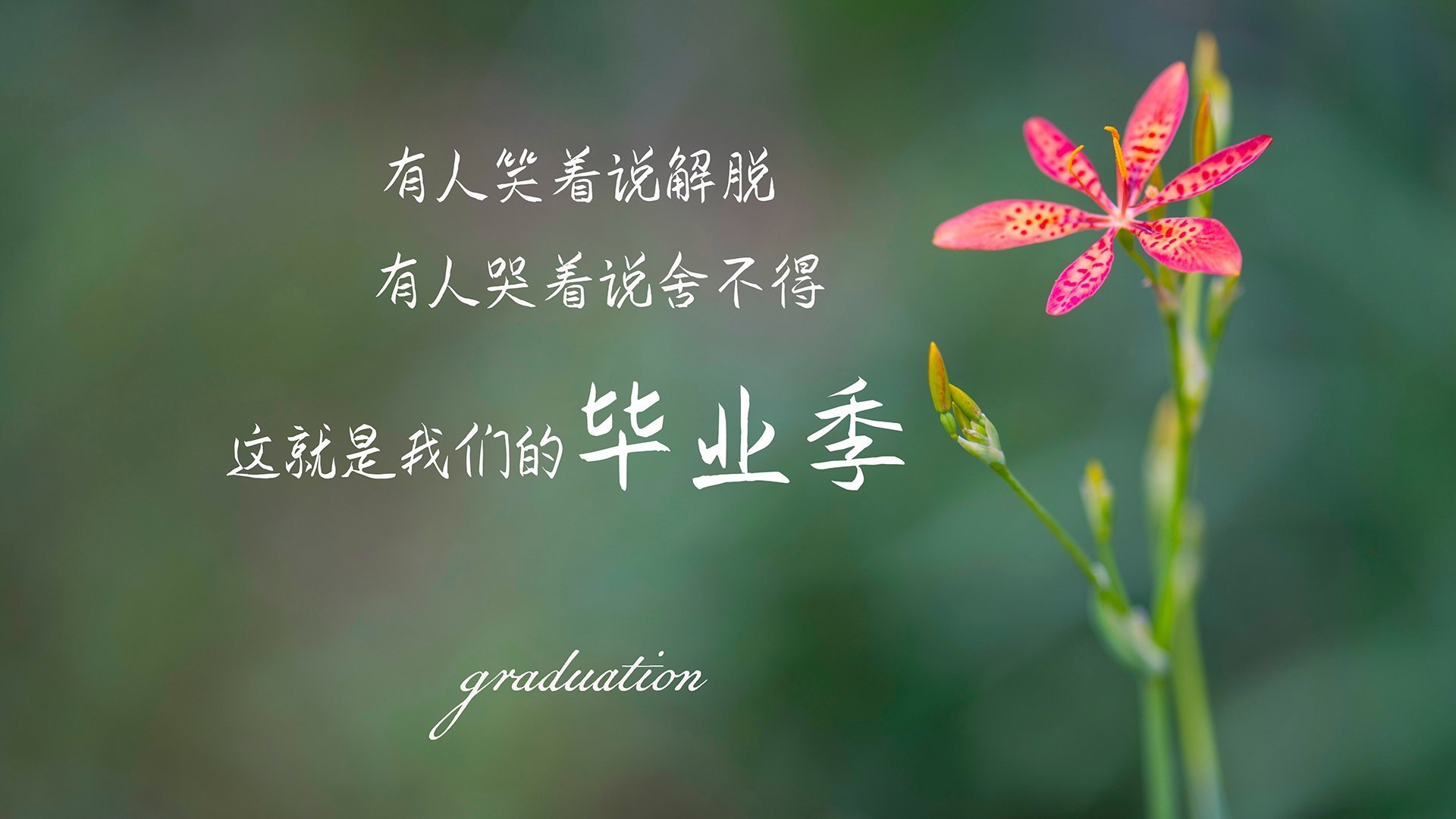 篮球运动员比赛状态调节技术及应用研究，篮球比赛模式