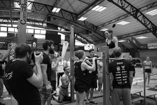 爱游戏app-“2025世界游泳锦标赛：水上芭蕾精彩纷呈，艺术之美与竞技并行”