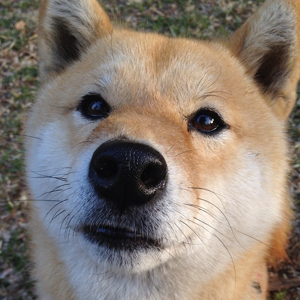 “简阳文体中心篮球赛:观众热情高涨,精彩绝伦”