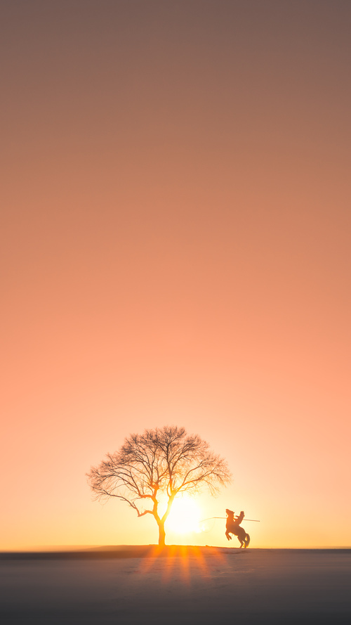 球迷支持新月退出“无意义商业比赛”