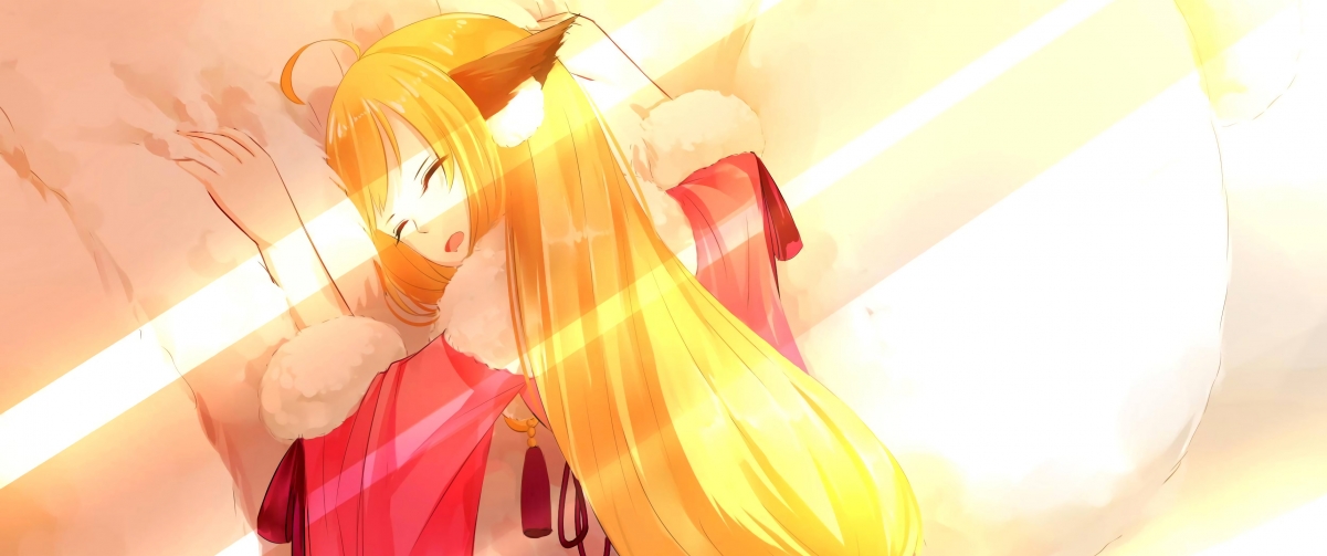 辽宁飞豹节奏掌控出色有效控制比赛走势,辽宁飞豹官网视频直播