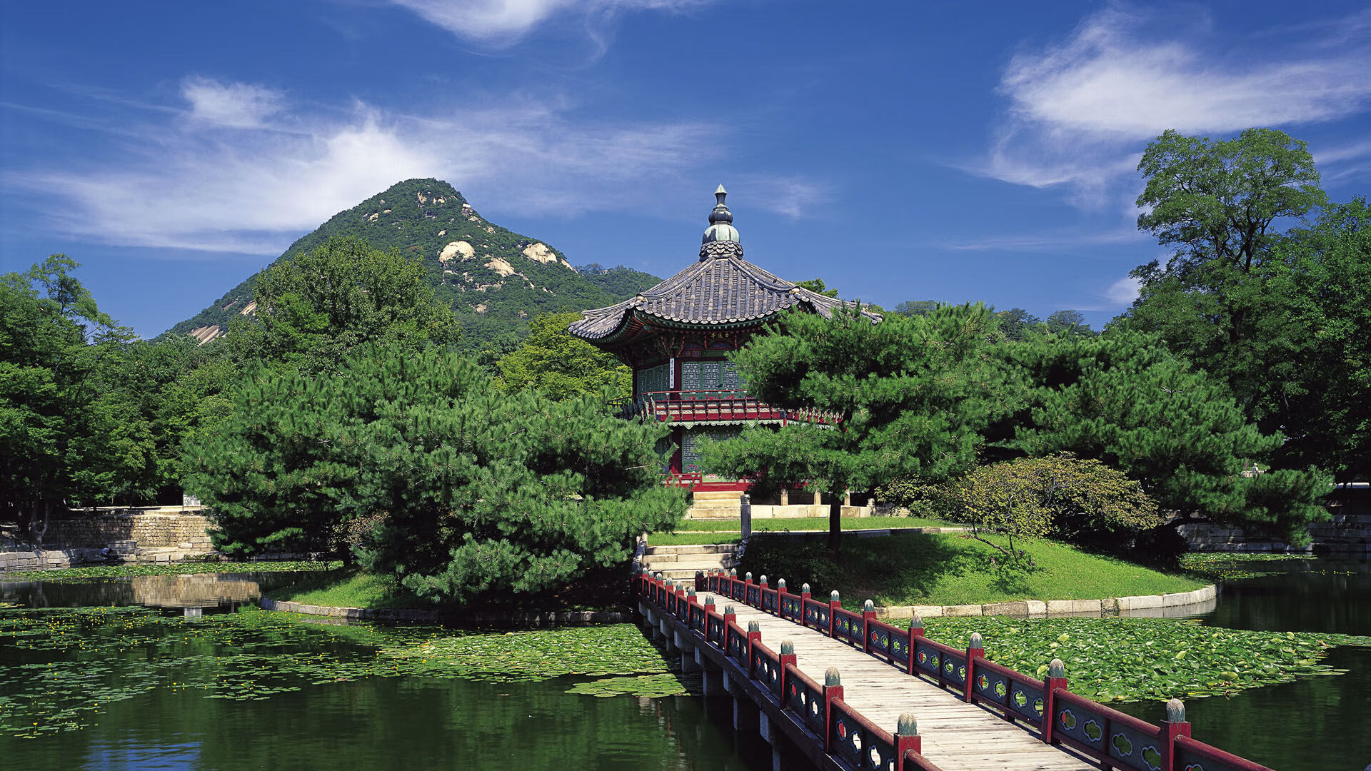 辽宁飞豹节奏掌控出色有效控制比赛走势,辽宁飞豹官网视频直播