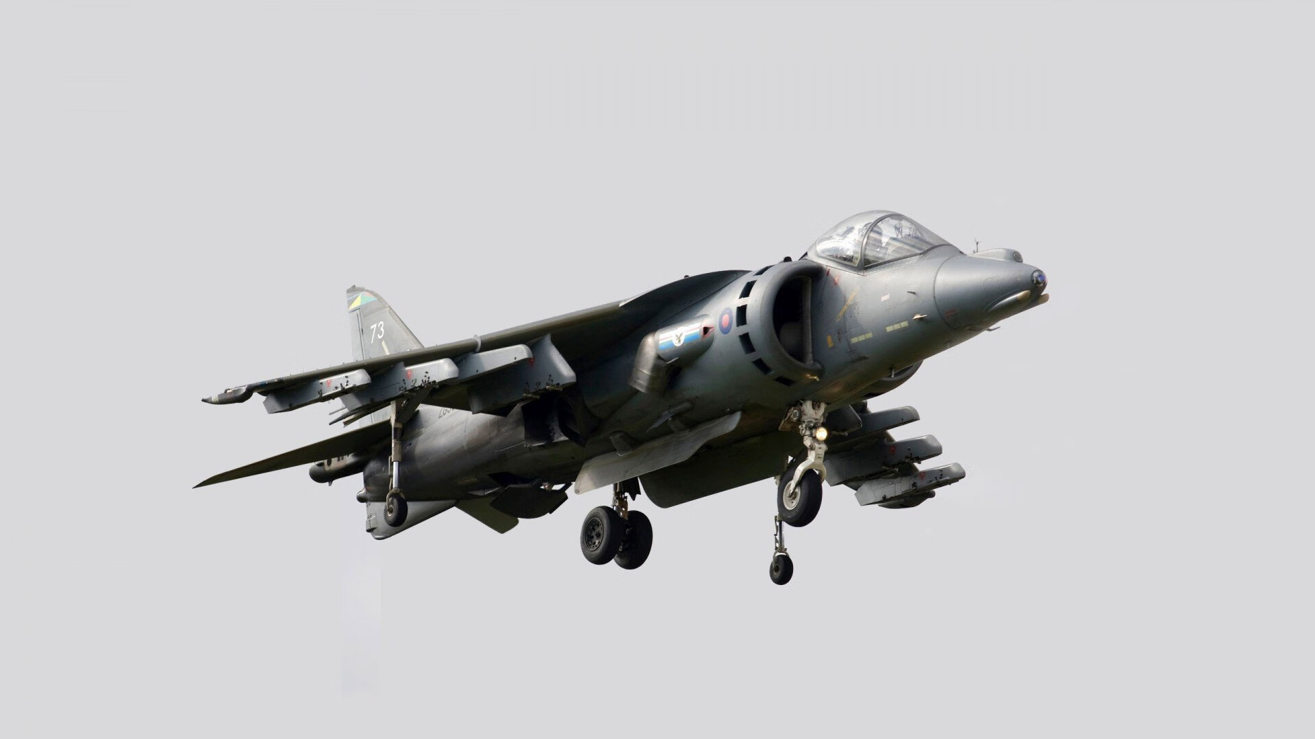 爱游戏体育（AYX）官方APP下载-乔·波尔曼全能表现，让袋鼠队攻防更具深度和层次