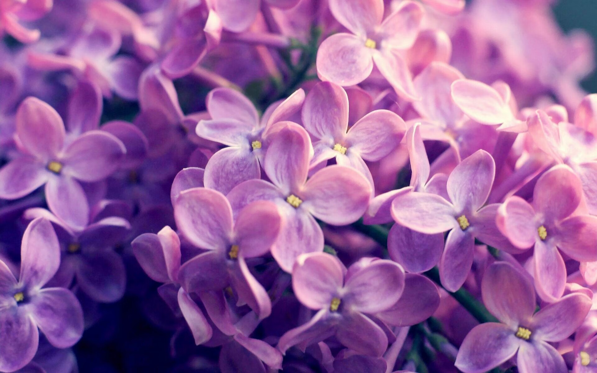 爱游戏体育APP下载-意甲超级传控：秒秒钟的精彩配合刷新纪录，意甲传奇