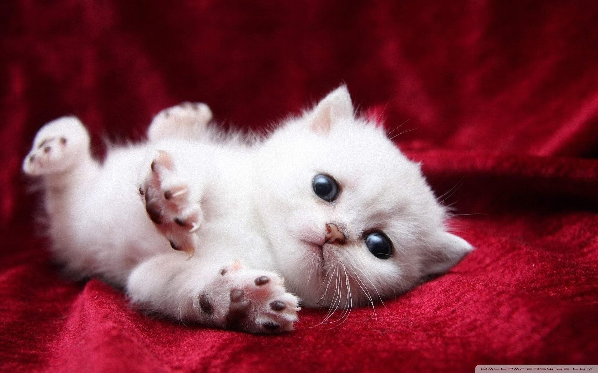 曼联在关键战中逆转夺胜，积分追赶榜首