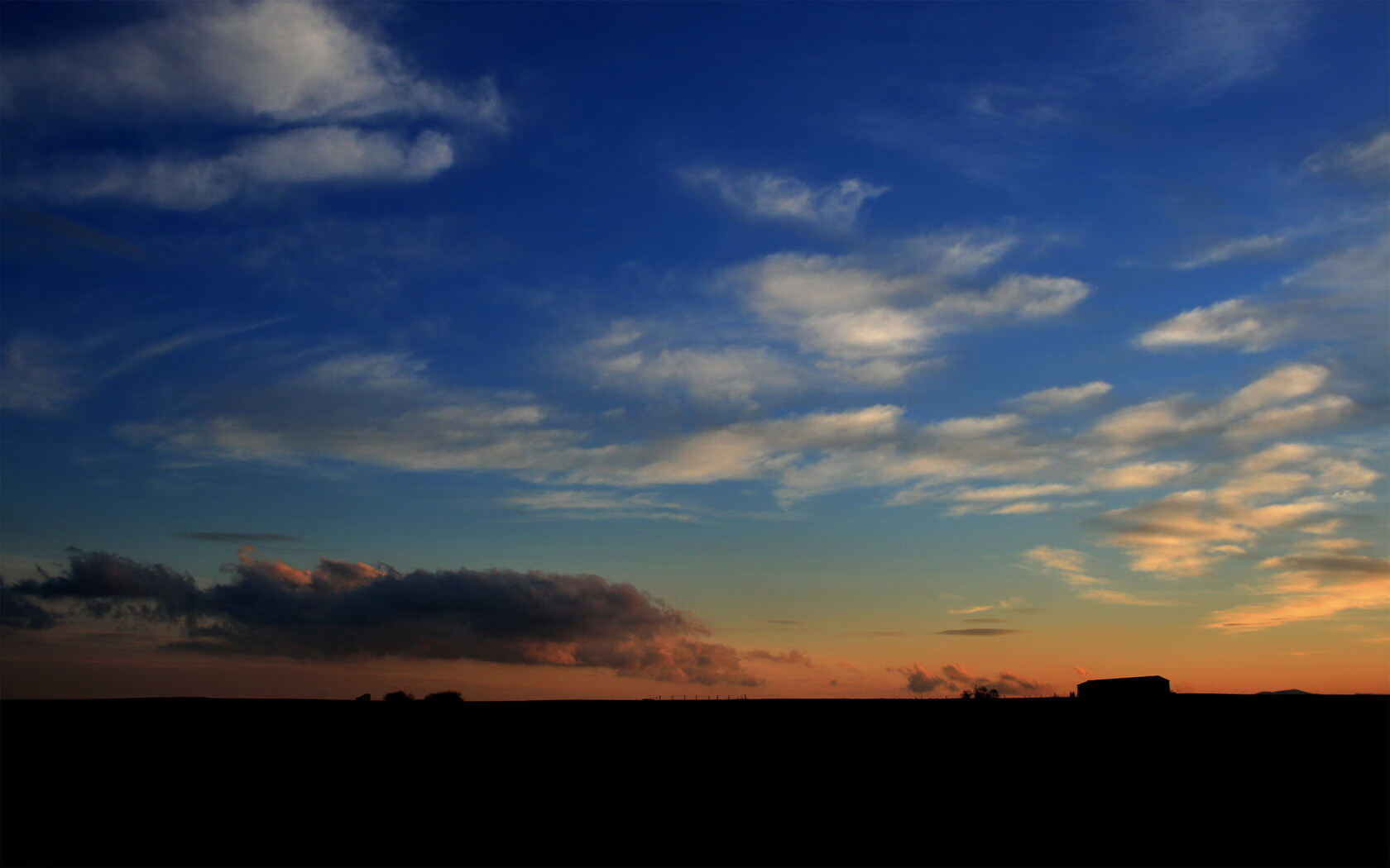 格林伍德的高效防守反击,成为袋鼠队快速反攻的关键,格林伍德什么水平