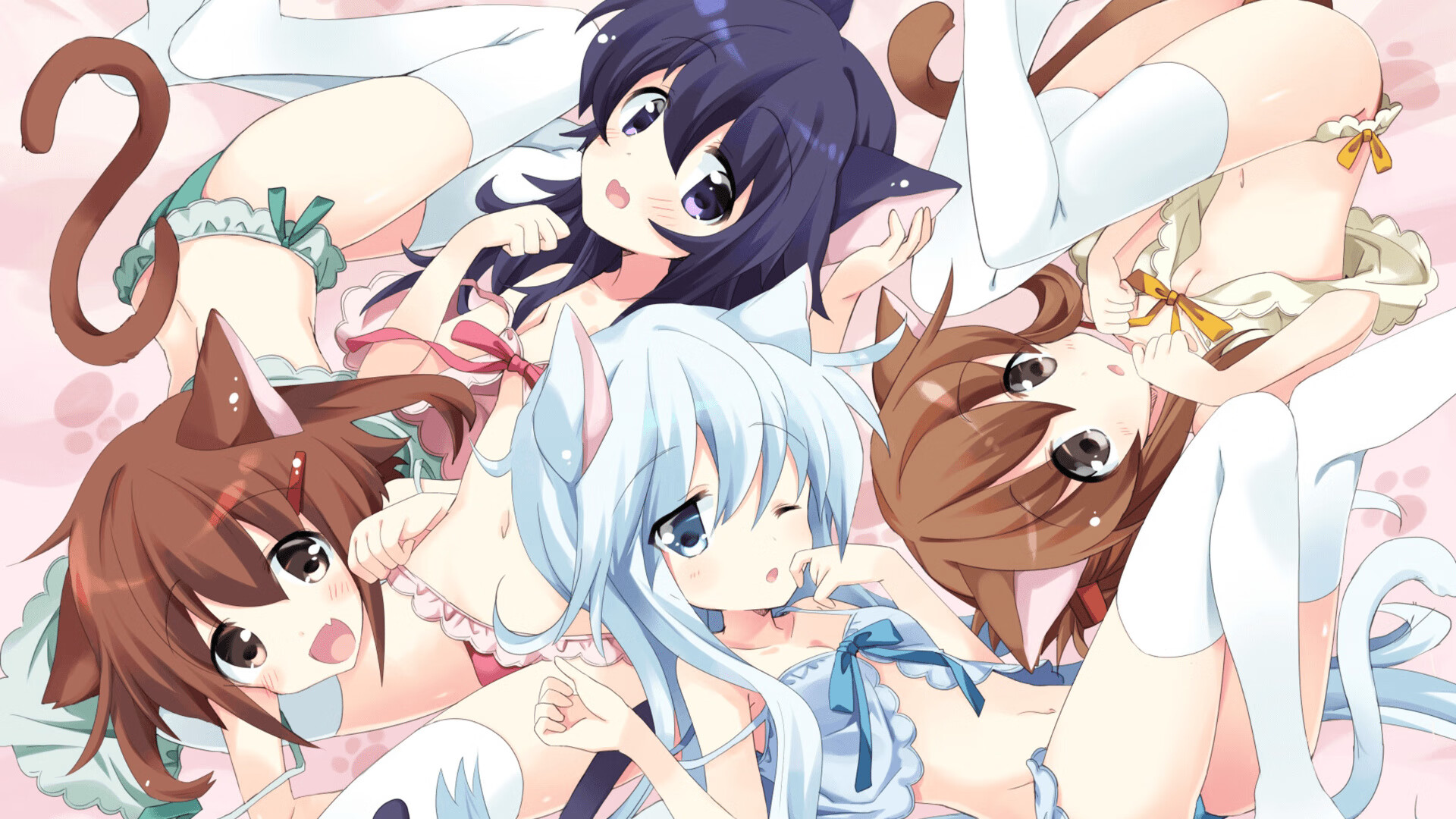 混合泳赛事波兰全面应战,混合泳比赛