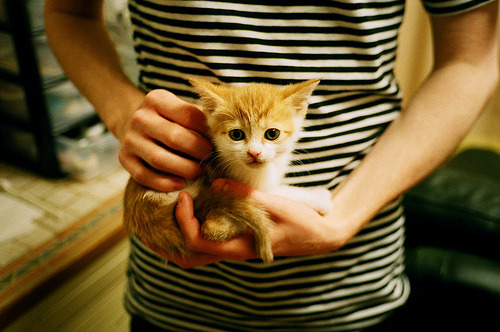 男篮国家队提升团队协作能力应对高压比赛节奏,男篮国家队训练