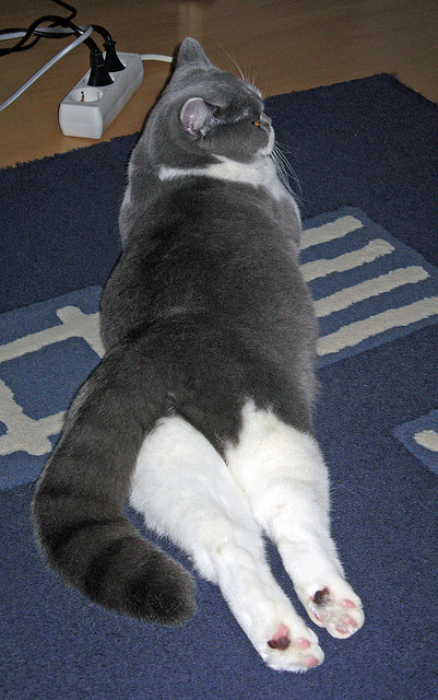 英超冲刺季:每场比赛都精彩绝伦!,英超冲刺季_每场比赛都精彩绝伦吗